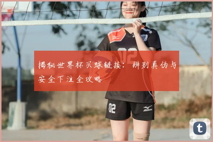揭秘世界杯买球链接：辨别真伪与安全下注全攻略
