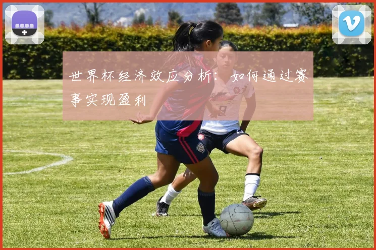 世界杯经济效应分析:如何通过赛事实现盈利