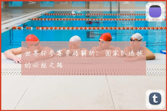 世界杯参赛资格解析：国家队选拔的必经之路