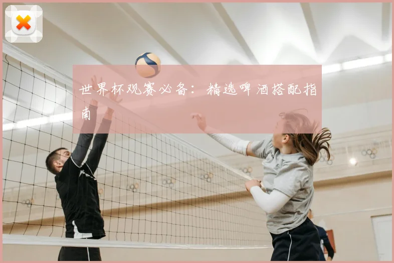 世界杯观赛必备:精选啤酒搭配指南