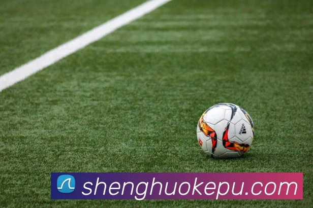 米兰官方网站入口APP 体育赛事宣传图